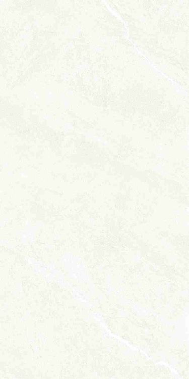 Dhara White Matte 24 x 48